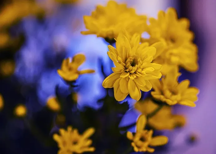 Foresteria Bella Bergamo